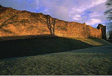 软件免费下载3.0.3免费Oppo版破解大全：都市极速破解版上线，Oppo设备专属优化带来竞速新体验-2