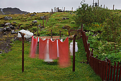 男女乱插软件：模块化改装革命，自由组装赛车挑战极限竞速