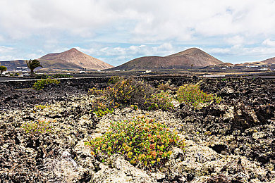 美女搞基软件：虚拟竞速社交，羁绊改装狂想曲-3
