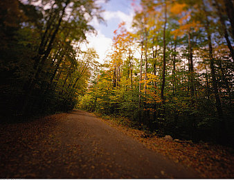 黄色软件app下载3.0.3免费装2023：夜幕疾驰，都市车神传奇竞速新纪元-3