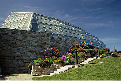 天天操夜夜操：极限竞速地平线5，墨西哥极致驾驶体验与进阶攻略全解析