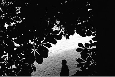 挠脚心+折磨+抹油+哭喊作文600字：拟真驾驶炼狱，物理引擎的终极试炼-1