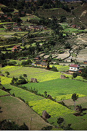 男生困困放到女人的困困里：当性别与引擎在异轨世界交错呼吸