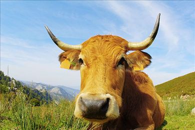 不良应用下载:极速狂飙暗网追击,官方攻略助你安全改装驰骋霓虹城-4