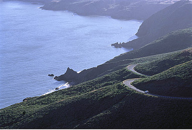 男和女APP：双线协奏，竞速之舞中的差异与共鸣-2