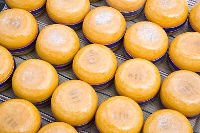 差差差app：极限车神以精准操控定义赛车游戏新哲学-3