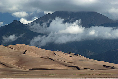 DD4免费安卓版下载：都市霓虹下的极速改装与地下狂飙传奇-2