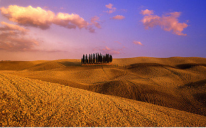 2023B站推广入口永不收费:极限竞速地平线5,免费驰骋墨西哥开放世界-3