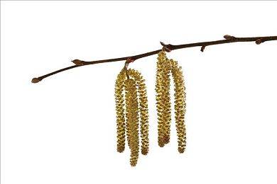 黄色软件下载大全免费版3.03：极速新章，真实驾驶革新，三条赛道与七款超跑登场-3