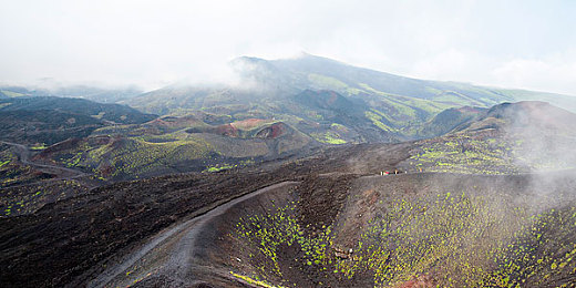 业余自由青少年青少年青少年类别：极限竞速地平线，开放世界竞速，释放你的速度与梦想-2