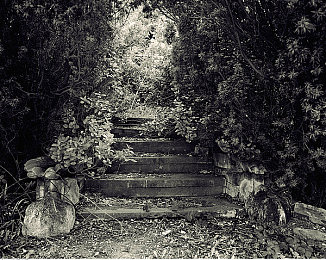 国产福利真实：国产车型驶入虚拟赛道，极限竞速地平线迎来本土力量新篇章-2