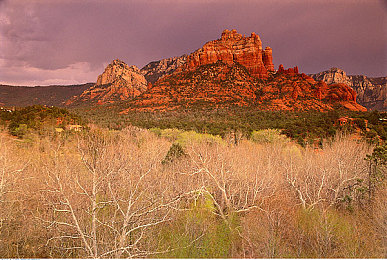 推特9.1破解版险免费版安装：虚拟社交改装工坊，破解竞速新体验-2