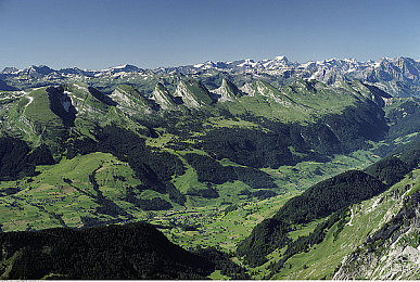 uzun haya kopkan manta.：开放世界竞速新作极限征途终点线上线，探索广袤地图挑战终极赛道-2