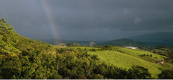 日本一卡二卡三卡：卡牌策略驱动极速狂飙，创新竞速游戏革新赛道体验