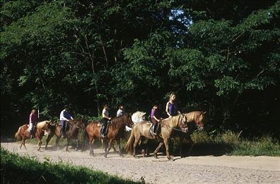男生和女生差差差app下载：极速差异挑战上线，性别特性驾驶系统颠覆传统赛车体验-3