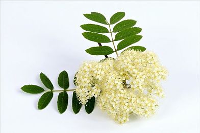 色www：霓虹飞驰，色彩驱动，定制你的极速传说-2