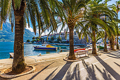 Asian天然美鮑欣赏：极速幻境东方之旅上线，竹林幽谷赛道展现自然曲线美学