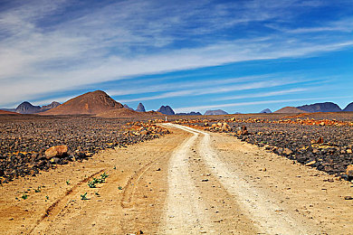男人挺进雌性宠物交：《赛道女神：极限进化》深度评测，揭秘人车合一的终极驾驶境界-3