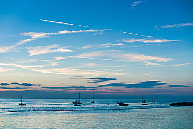 蝌蚪窝一个释放蝌蚪的平台：今日上线，极速蝌蚪揭秘终极进化形态解锁全攻略-1