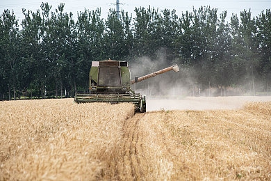 18免费:地平线5玩家必看,等级达标即送顶级超跑领取攻略全解析-3
