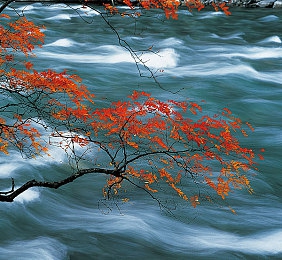 黄色软件下载3.0.3免费安装最新版：都市极速风云，霓虹赛道上的改装传奇-1