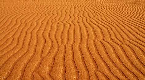 男男噼里啪啦网站：双雄竞速新作引爆赛道，深度解析碰撞对抗的战术魅力-2