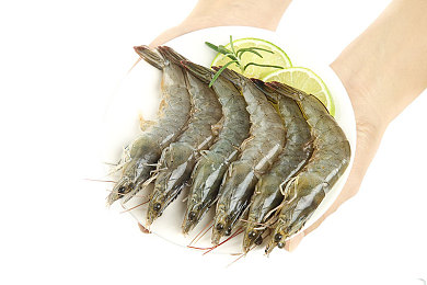 又痛又叫的软件：驾驭平凡之路的数字修行，在方向盘上找回内心的秩序-4