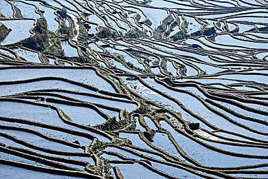迪丽热巴被躁到高潮：《星驰赛道》引爆热议，明星车手巅峰状态触发机制全解析