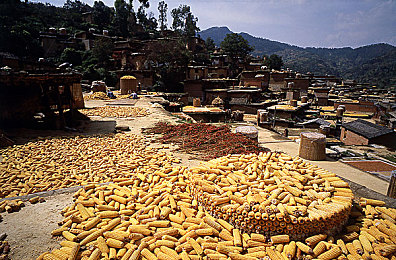 男生因困放在女生困困里：当驾驶舱成为情感迷宫，与AI共赴解谜之旅-2