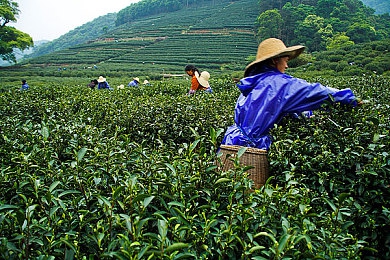 男生和女生做那个APP：双人协同驾驶新游今日上线，分工合作征服未来旅途-3