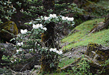 色酷色综合：光影交响，驰骋视觉美学的竞速新纪元-3