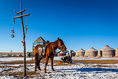 色狼软件：霓虹追踪，破解视觉迷阵的极速狂飙-2