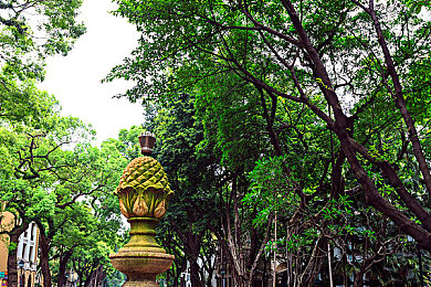 黄色tv：极速光影中褪色世界的纯粹竞速艺术-2