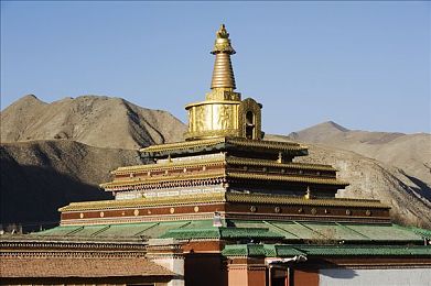 芭乐视频污污污：极速狂飙与爆笑直播，你的方向盘也是麦克风