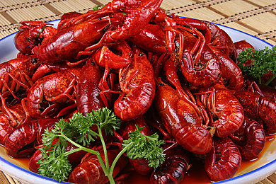 色黄app下载3.03：极速狂飙新版上线，视觉与物理双革新带来沉浸驾驶体验-4