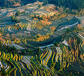 男生和女生打扑克的软件：《极速心战》今日上线，心理博弈与竞速策略的颠覆性融合