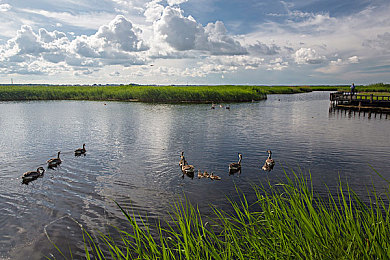 修修漫画免费漫画弹窗入口：当漫画对话框变身赛车改装库，硬核玩家直呼专业-2