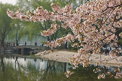 亭亭玉立国色天：风驰墨影，山水霓虹间的东方极速诗篇-2