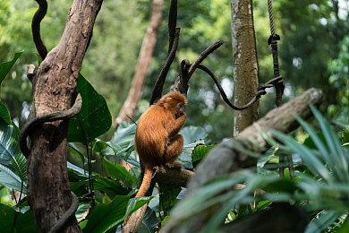 国产麻豆:镜头下的国风之旅,车轮上的城市诗篇-2