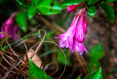 开襟JK做双人运动：《极速搭档》今日上线，双人协同驾驶开启竞速游戏新纪元-3