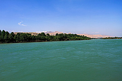 欧美日本热情五月天：极限竞速地平线5全新评测，全球赛道驾驶技巧与车辆调校深度解析