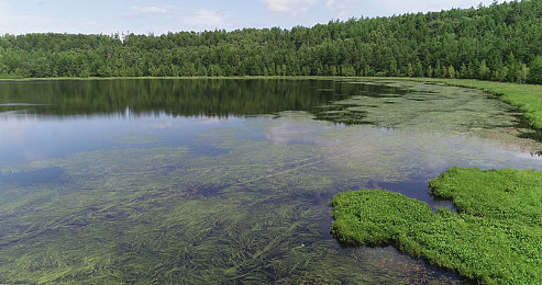 性祼交：墨西哥狂野竞速新篇章，探索驾驶艺术与季节变幻奥秘