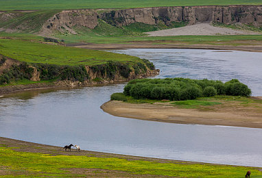 18岁禁止入内软件：霓虹深渊，极速抉择的暗夜狂想曲