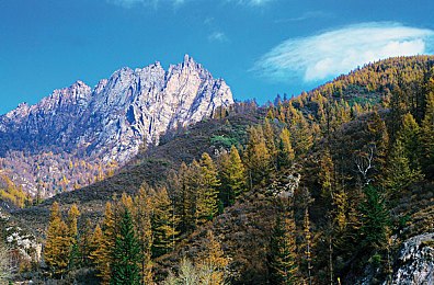 造梦工厂明星ai：未来都市竞速新纪元，智能助手与你共造梦幻跑车-4