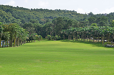 17c.黑料：隐藏参数改写竞速法则，公平与探索的赛道博弈-1