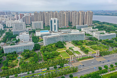 黄色软件app下载3.0.3vivo免费：极速狂飙，体验真实驾驶快感与深度改装乐趣-3