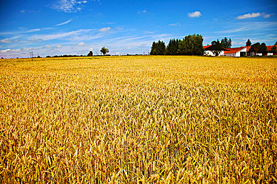 国语一区二区：双界竞速，都市锋芒与荒野呼吸的驾驶艺术