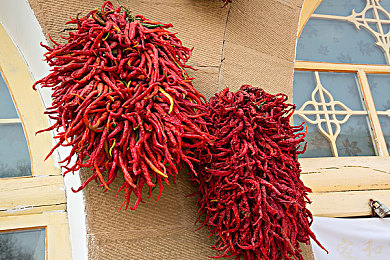 11月电子厂公厕最新通知：隔间暗码，数据洪流中的隐秘呼吸