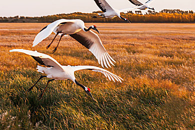 2人轮换玩我的感觉：双人共驾一车，体验无缝切换操控的竞速默契-4