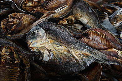 18大部禁黄软件：净化未来都市，在极速驾驶中抉择数据伦理-3